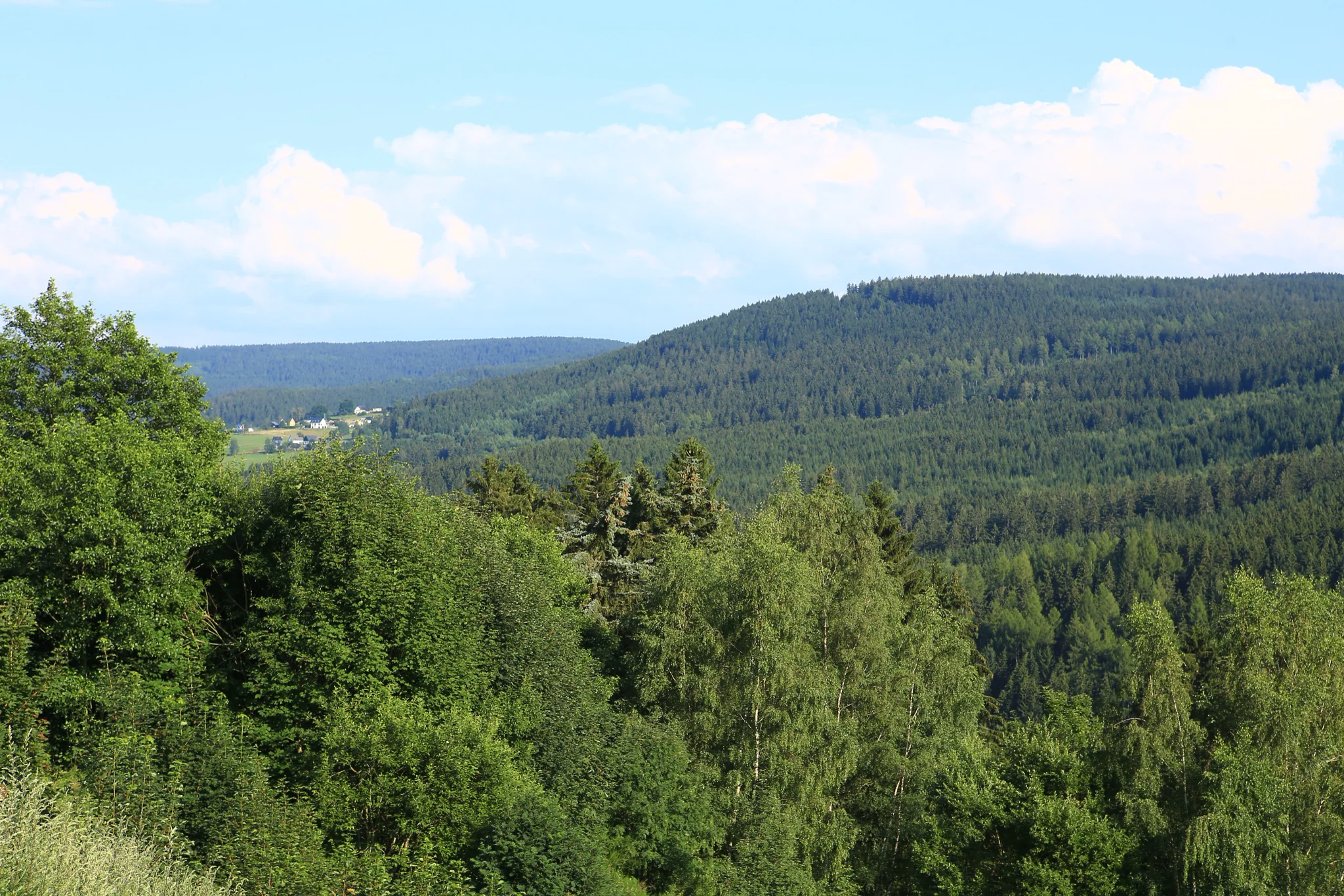 Weiter Blick über die Wälder des Erzgebirges
